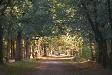 Mooi Soesterberg