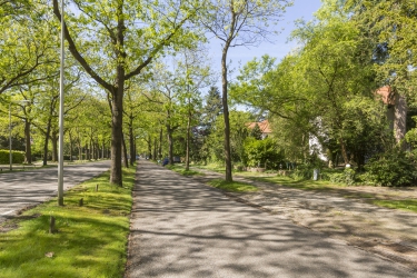 Wijk in beeld: Hoge Dennen en Kerckebosch in Zeist