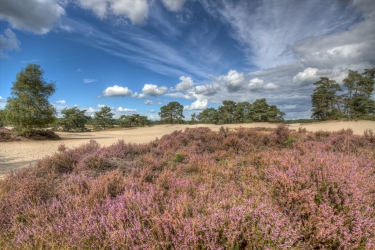 Mooi Soesterberg
