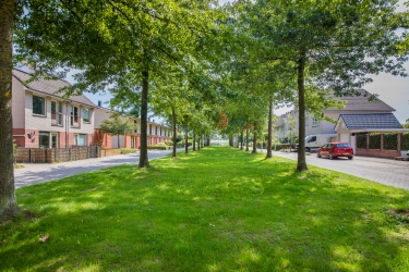 Zomer editie Wonen, Werken & Leven