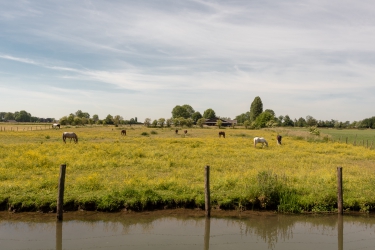 Wonen in Odijk