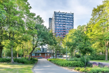 Laan van Vollenhove 228, 3706 AA, Zeist